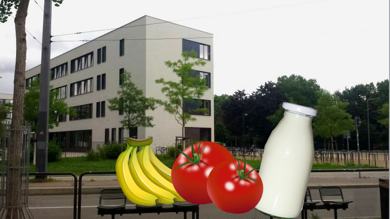 EU-Schulprogramm  für Obst, Gemüse und Milch startet in Sachsen Foto: MeiDresden.de (Symbolfoto)