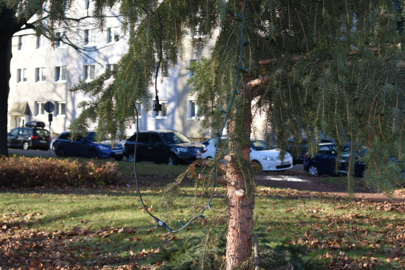 Weihnachtsbaum in Leuben mutwillig beschädigt  Foto: © MeiDresden.de/Mike Schiller