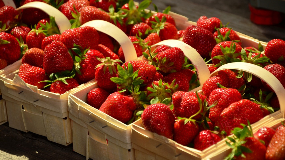 Test: vier von fünf Erdbeeren enthalten Pestizidrückstände ©Congerdesign (Pixabay)