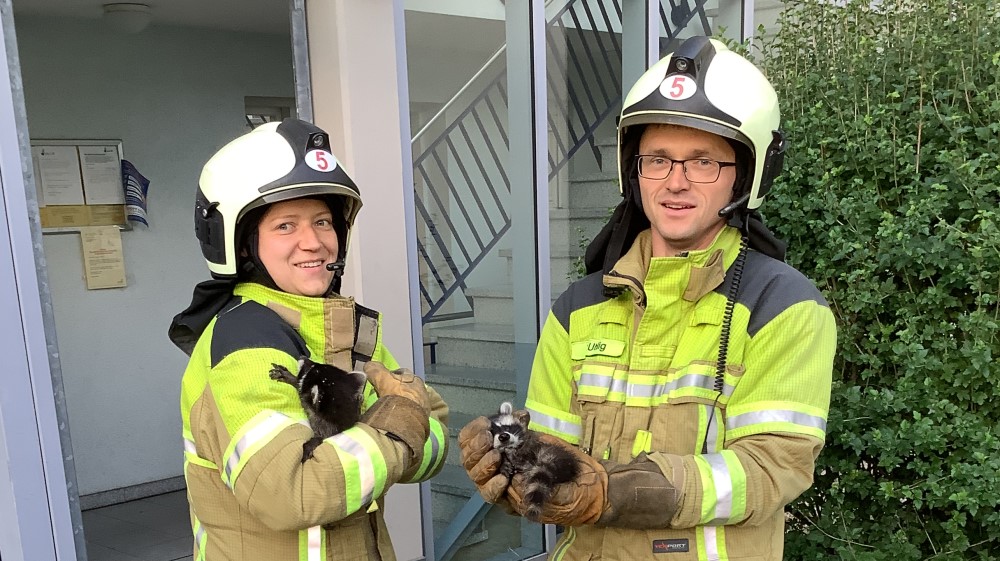 © Feuerwehr Dresden Julia und Torsten von der Feuer- und Rettungswache Altstadt kümmerten sich um die beiden Tiere.