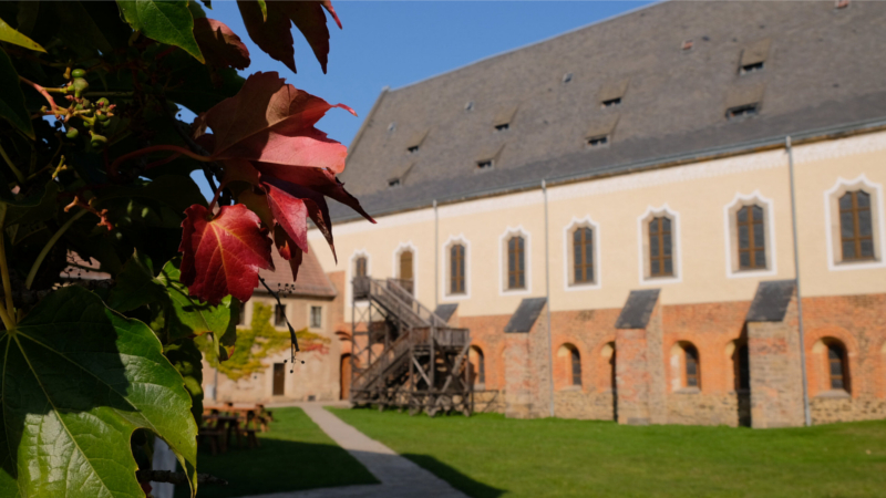 Abends entfaltet sich im Klosterpark Altzella bei Nossen eine ganz besondere Atmosphäre ©Juliane Schikade