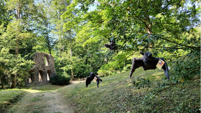 Erst wenn es dunkel ist fliegen die Schönen der Nacht im Klosterpark Altzella umher Die Plüschfledermäuse warten hingegen im Museumsshop auf ein neues Zuhause Peter Dänhardt