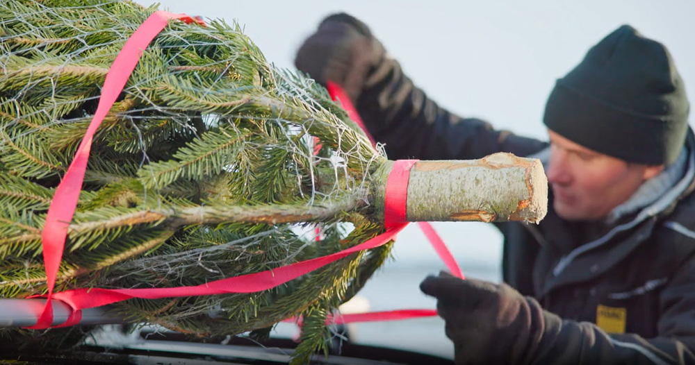 Weihnachtsbaum Test richtiges Sichern auf dem Dachträger ADAC Test- und Technikzentrum Landsberg @ADAC e.V.