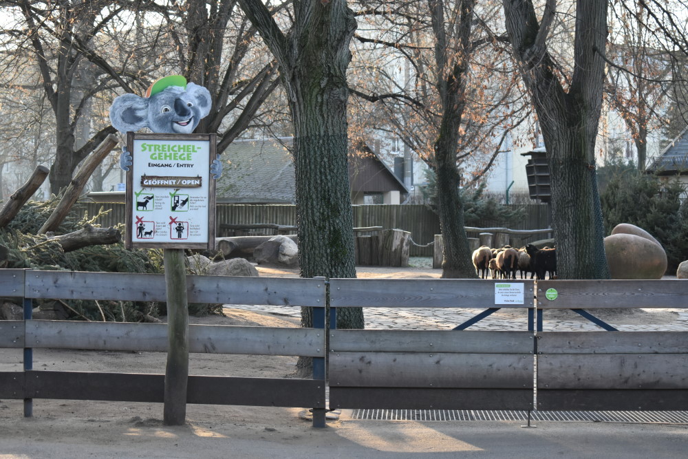 Ein neues Streichelgehege und die neue Zebra - und Giraffenanlage sollen 2025 enstehen . Foto: MeiDresden.de /Mike Schiller