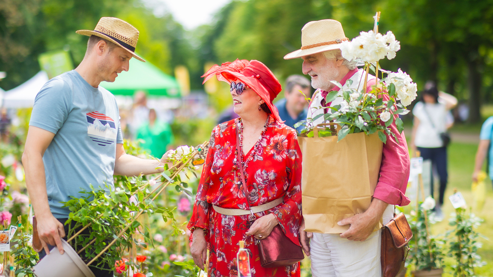 Pillnitzer Gartenwochenende . Foto: Sylvio Dittrich