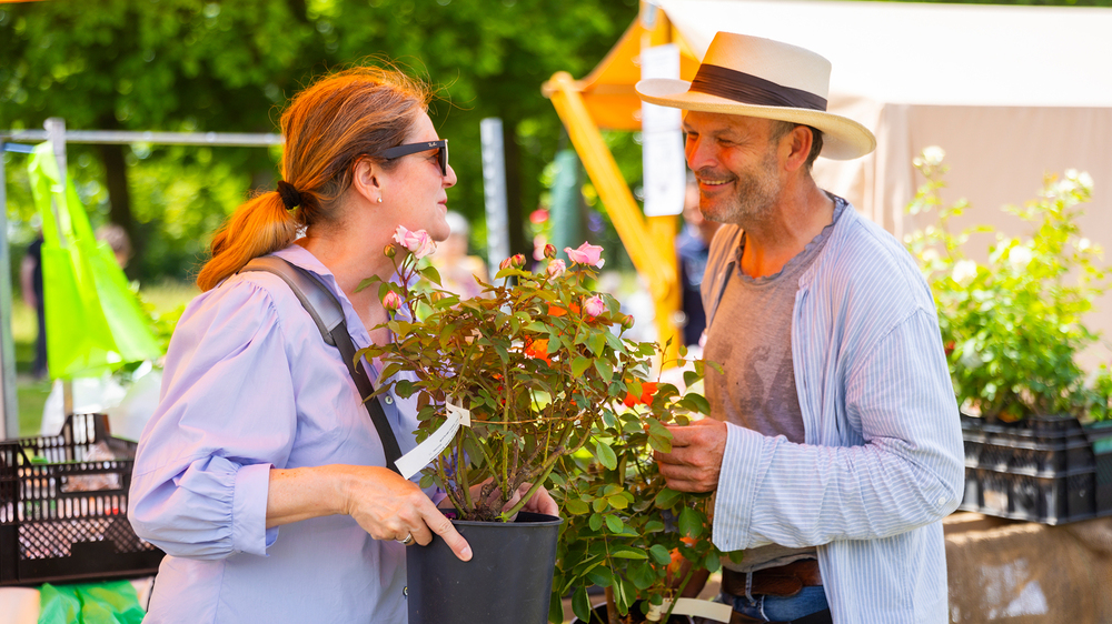 Pillnitzer Gartenwochenende . Foto: Sylvio Dittrich