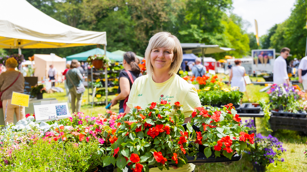 Pillnitzer Gartenwochenende . Foto: Sylvio Dittrich
