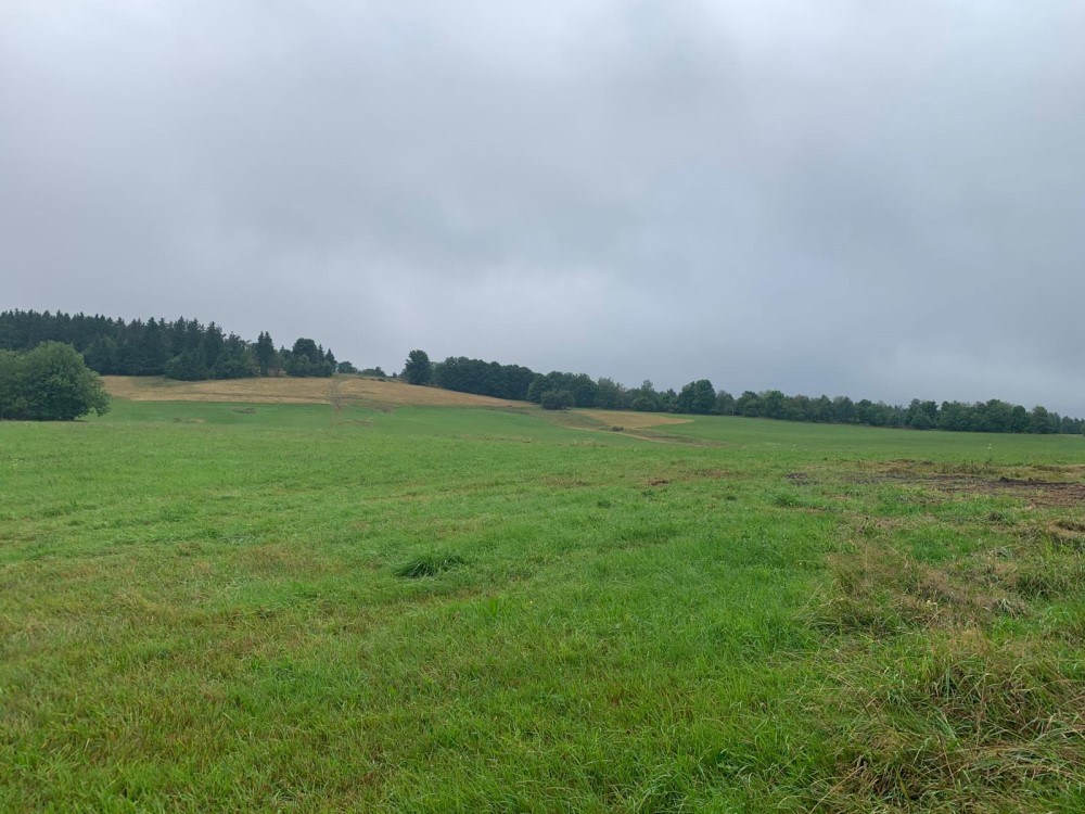 Geising   Foto: privat