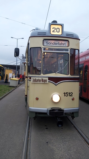 Eine Rundfahrt mit dem Gotha Zug  ist für jung und alt ein Highlight. Foto: MeiDresden.de