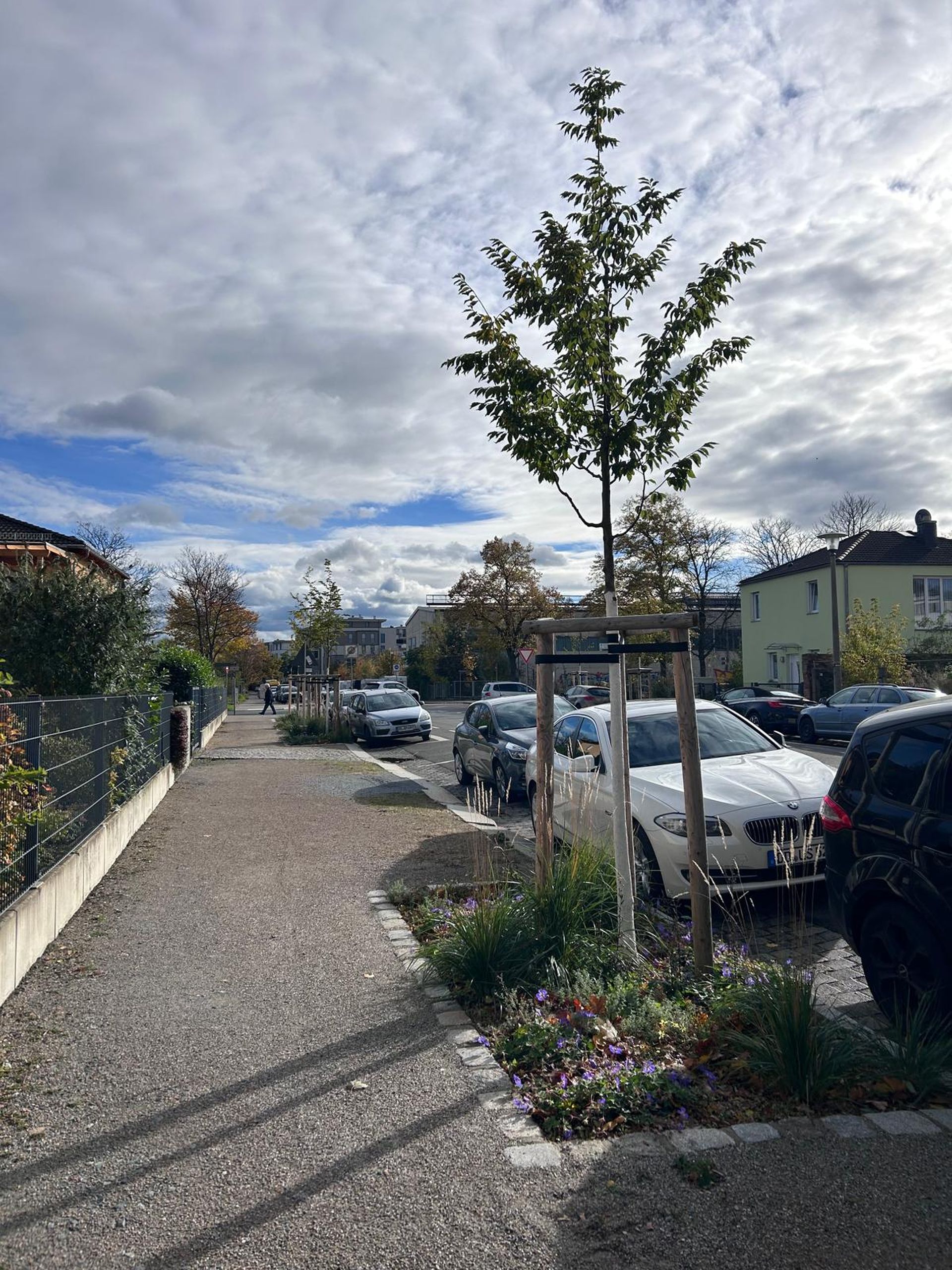 Baumpflanzung Laubestr     Foto:  ASA Bertram