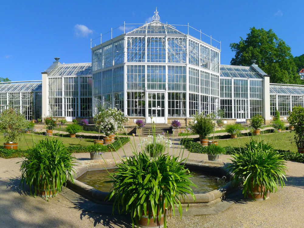 Palmenhaus Schloss Pillnitz     Foto Antje Heinze