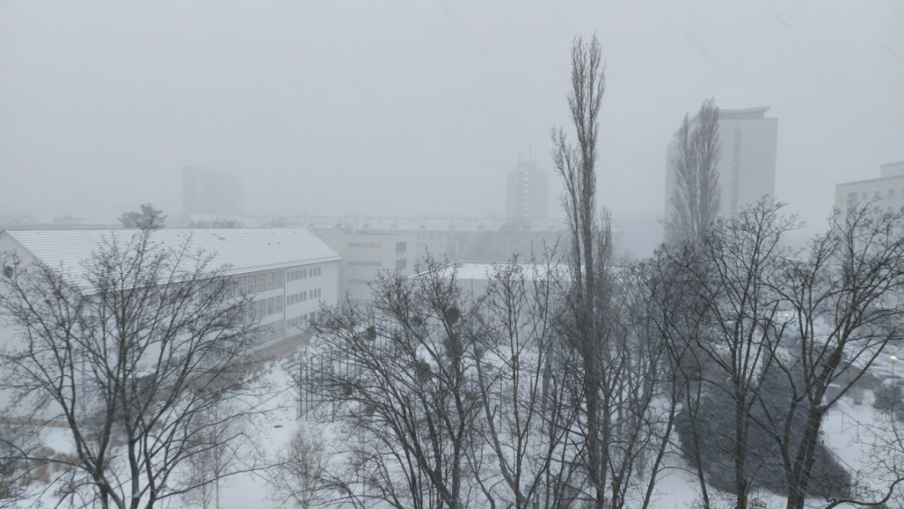 Schneefall ist dichter © MeiDresden.de