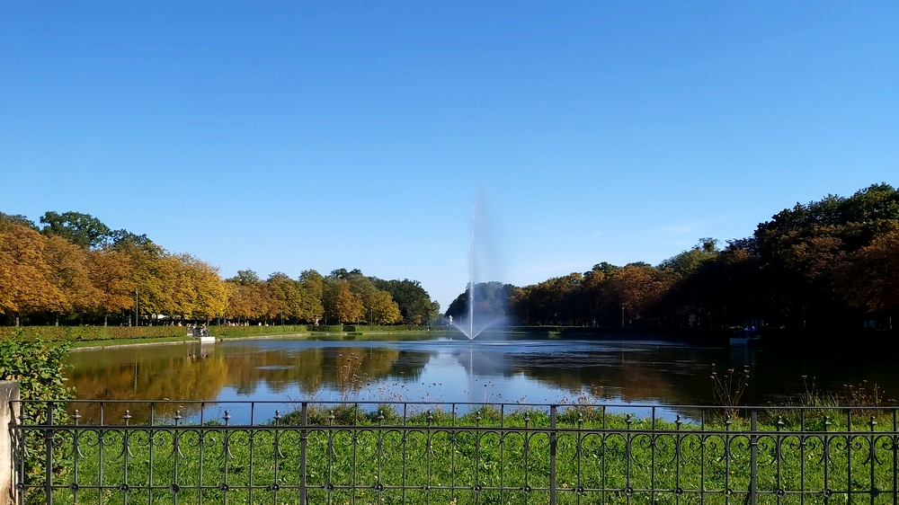 In den nächsten Tagen kehrt das sommerliche Wetter nach Sachsen zurück. Foto: MeiDresden.de