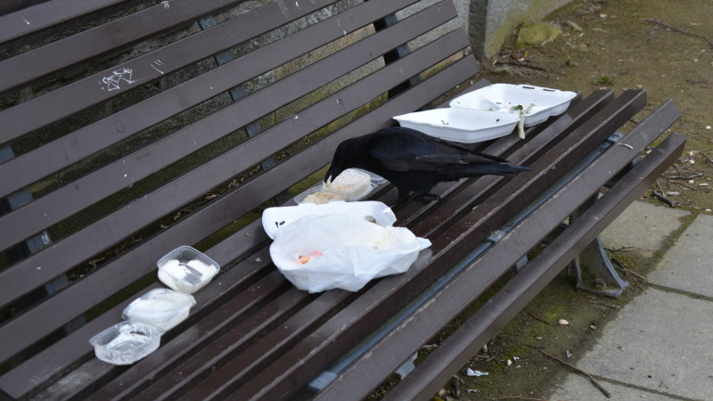 Müllsünder sind überall - Räumt Euren Müll weg!  Foto: MeiDresden.de