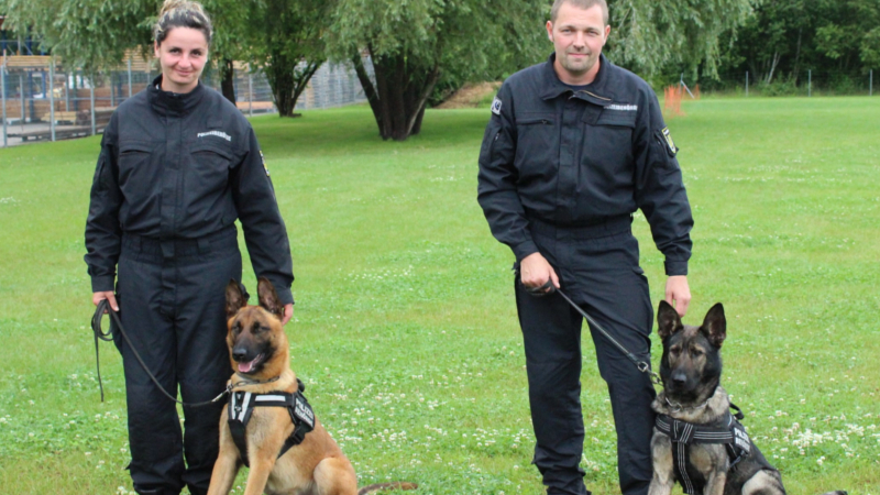 Die neuen Diensthunde des Ordnungsamtes Nina und Fido mit ihren Hundeführern © Ordnungsamt Landeshauptstadt Dresden