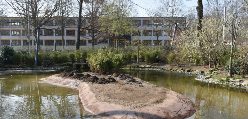 Im März gab es extra Erde auf die Mittelinsel  Archiv © MeiDresden.de