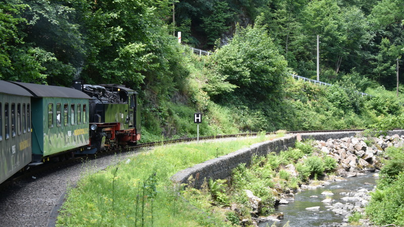 Weißeritztalbahn auf der Fahrt von Freital-Hainsberg nach Kurort Kippsdorf  Foto: © MeiDresden.de/Mike Schiller