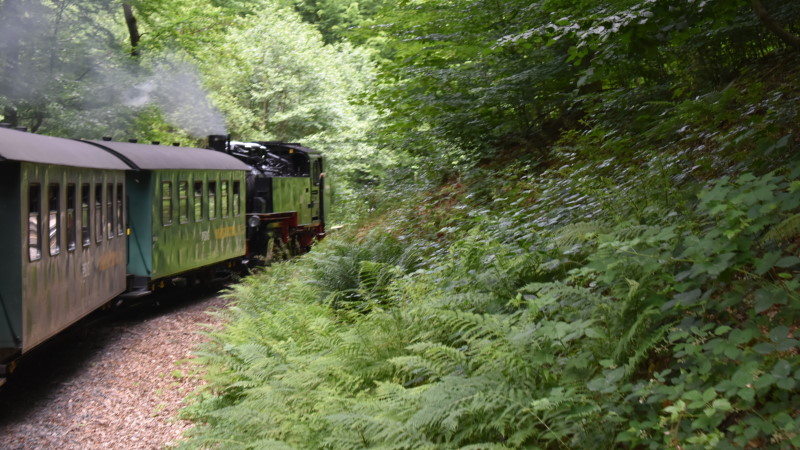 Weißeritztalbahn auf der Fahrt von Freital-Hainsberg nach Kurort Kippsdorf  Foto: © MeiDresden.de/Mike Schiller