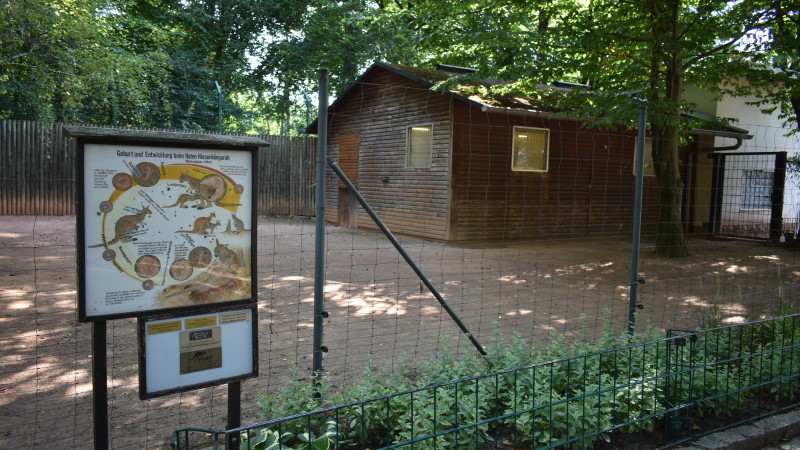 Alte Anlge, Alle Tiere sind im Haus aufgrund der Hitze  © MeiDresden.de