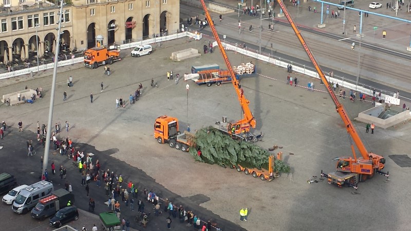 Ankunft der Baumes 2022 auf dem Altmarkt Foto: © MeiDresden.de