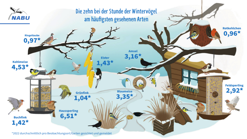 NABU Stunde der Wintervögel Auswertungsgrafik © NABU/ publicgarden