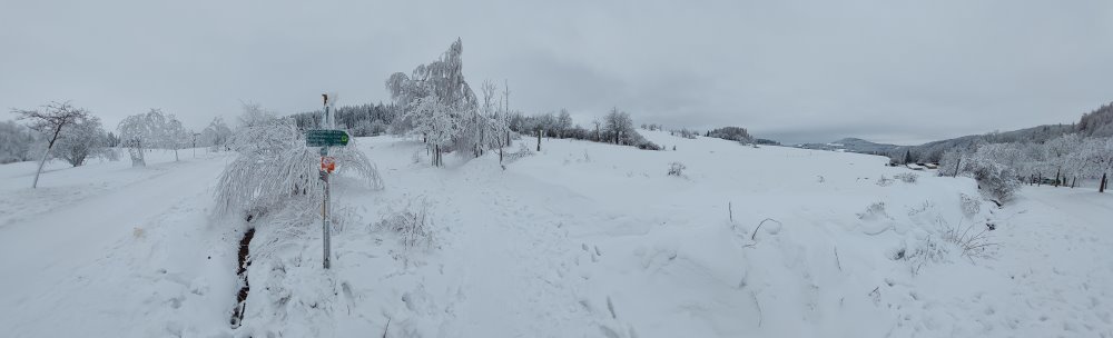 Foto: © MeiDresden.de/Mike Schiller