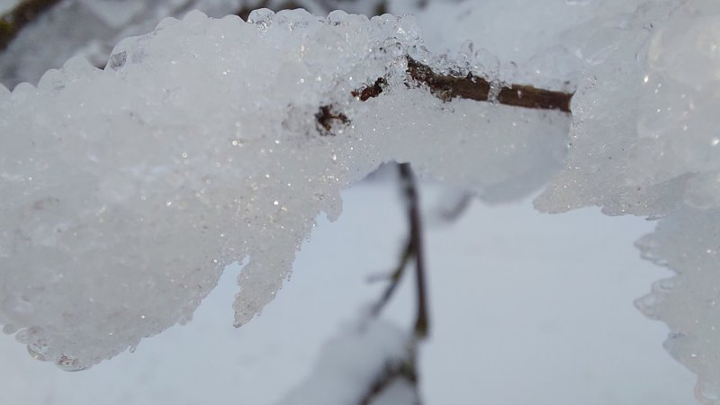 Foto: © MeiDresden.de/Mike Schiller