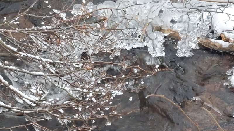 Foto: © MeiDresden.de/Mike Schiller