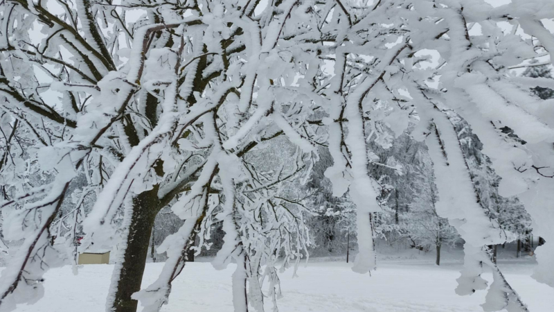 Vom Schneeflöckchen zum Schwergewicht - So viel wiegt Schnee ©MeiDresden.de/ Mike Schiller