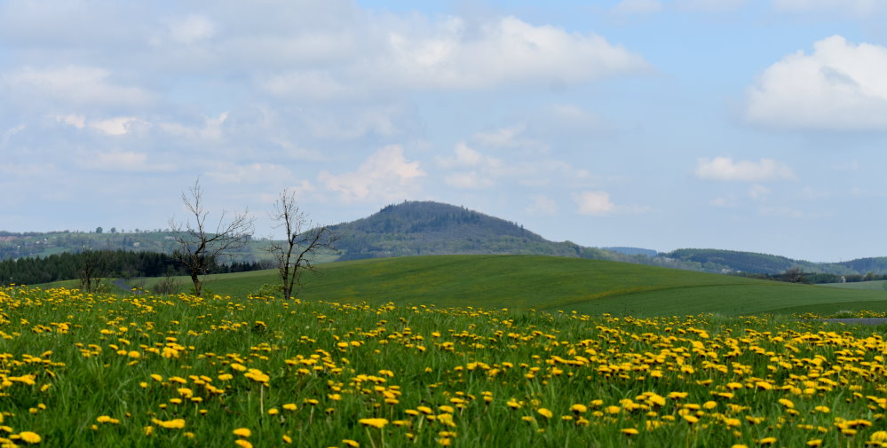 Blick von Fürstenau auf den Geisingberg  Foto: © MeiDresden.de/Mike Schiller