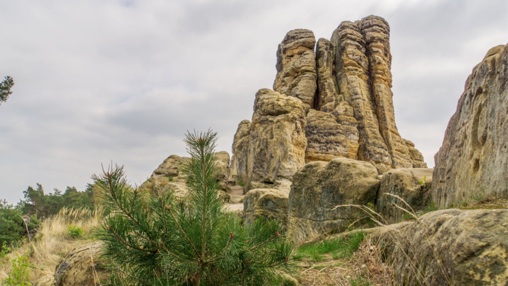 Die Felsformationen der Halberstädter Berge verbreiten eine mythische Aura, die man sonst nur von Orten wie dem englischen Stonehenge kennt. Foto: DJD/Tourist Information Halberstadt/Stefan Herfurth