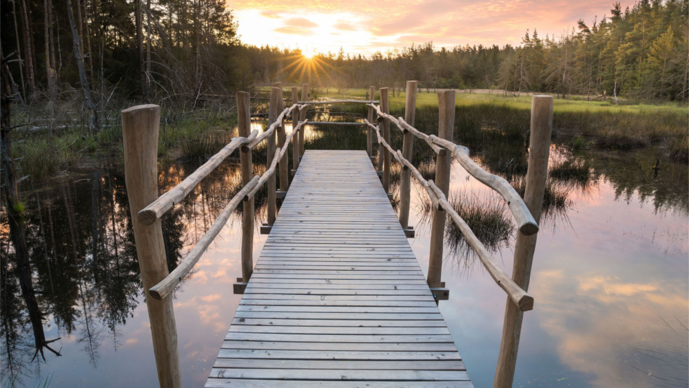 Einen neu angelegten Walderlebnispfad findet man in der Waldnaabaue bei Mitterteich in der Oberpfalz. Foto: DJD/Tourismuszentrum Oberpfälzer Wald/Matthias Kunz