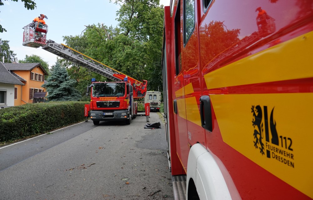 © Roland Halkasch  - Ein Hilfeleistungslöschgruppenfahrzeug und eine Drehleiter im Einsatz bei Baumbeseitigungsarbeiten.