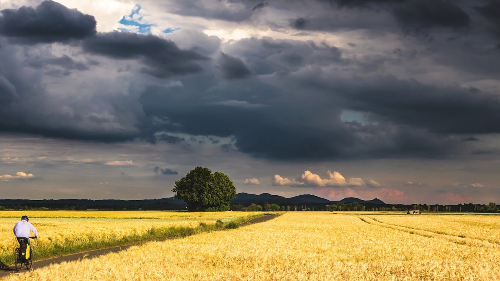 Abgedeckte Dächer und reihenweise umgeknickte Bäume – Gewitter mit schweren Sturmböen haben in den letzten Tagen in Europa immer wieder für Schlagzeilen gesorgt. ©Symbolfoto (Pixabay)