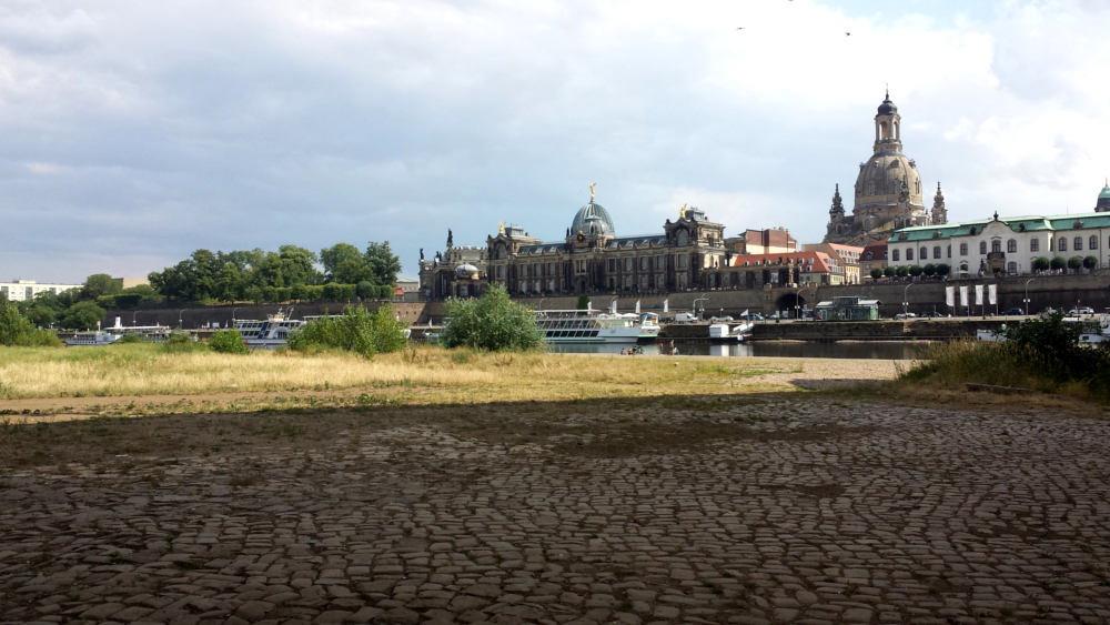 Niedrigwasser in Dresdens Fließgewässern ©MeiDresden.de