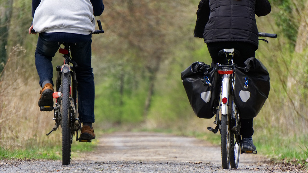 Radfahren im Wald ist nicht überall gestattet ©Pixabay(Symbolbild)