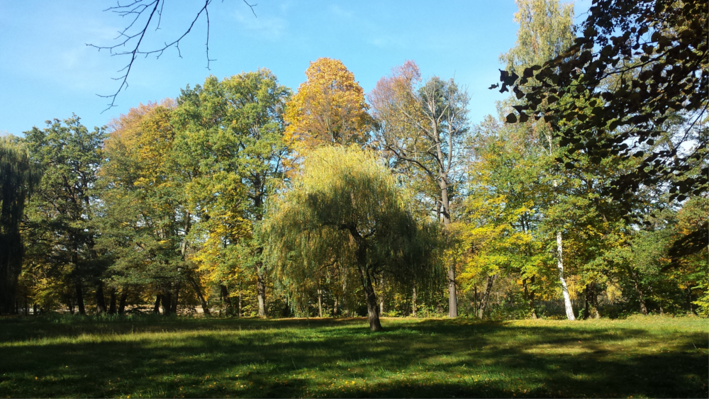 Auch in den kommenden Tagen präsentiert sich der September wunderschön ©MeiDresden.de