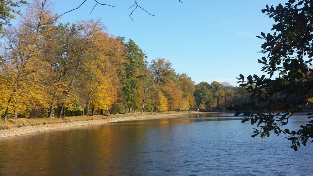 Blauer Himmel, Sonnenschein so bleibt es noch ein paar Tage ©MeiDresden.de
