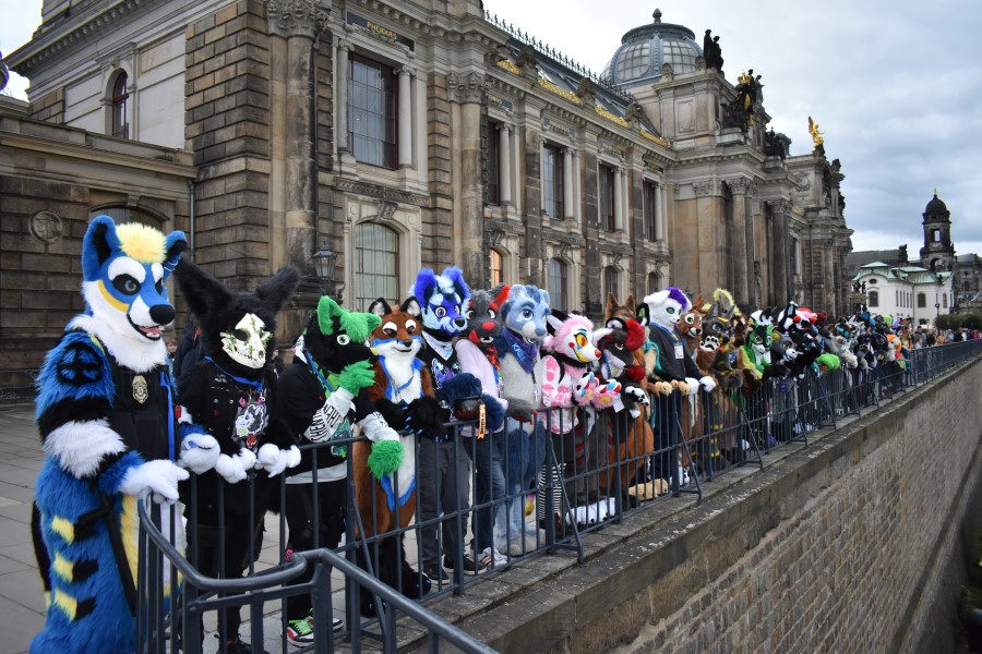 Am Dienstagnachmittag, zum Feiertag liefen rund 60 Furrys über die Brühlsche Terrasse und zogen so manchen verwunderten Blick auf sich.   Foto: © MeiDresden.de/Mike Schiller