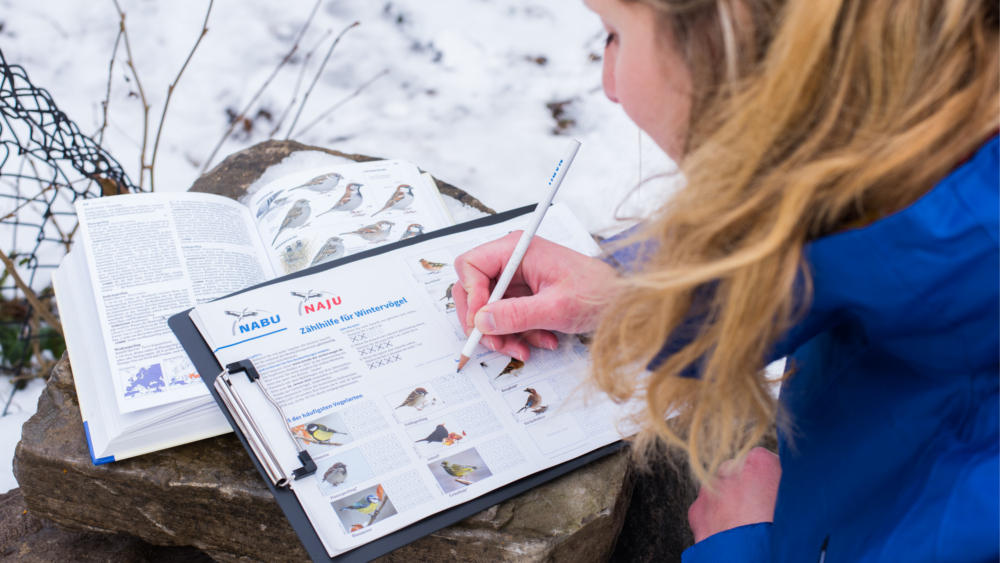 Stunde der Wintervögel ©NABU/Sebastian Hennigs