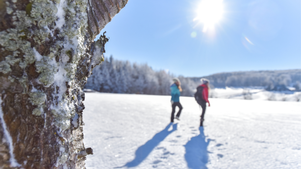 Seiffen im Schnee © S. Wermes