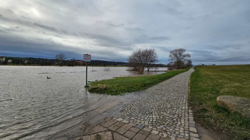 Auch in Radebeul ist die Elbe an mehreren Stellen über die Ufer getreten ©Martin Bruch