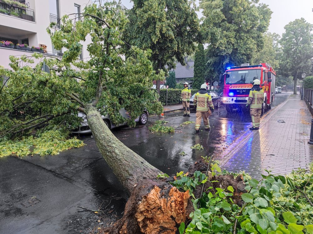 Symbolbild Sturm   Foto: © FW Dresden