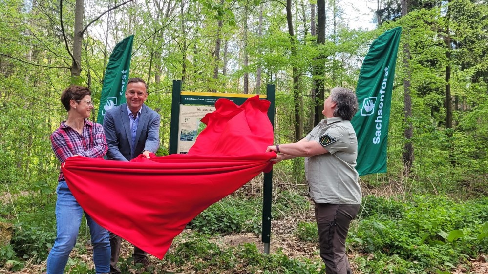 Foto: Hp. Mayr -  Lehrerin Chris Dittrich von der Grundschule Berggießhübel, Bürgermeister Thomas Peters und Revierleiterin Annett Wehner enthüllen schwungvoll die neue Tafel, die am Eingang des neuen Waldlehrpfades an der Rasthütte Betlehemstift steht.