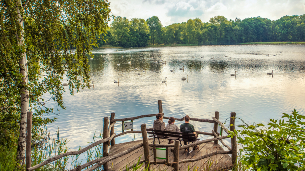 In der Heide- und Teichlandschaft der Oberlausitz kann man richtig gut die Seele baumeln lassen. Foto: DJD/Oberlausitz-Niederschlesien/Vollmer Werbeagentur