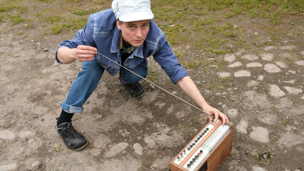 Über den Zaun M. Wiesner © Jens-Erwin Siemssen, Das Letzte Kleinod