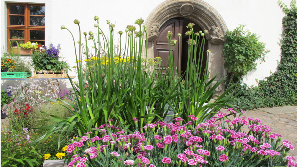 Blumen und Gartenschau - Schreibereiportal ©Juliane Schikade 