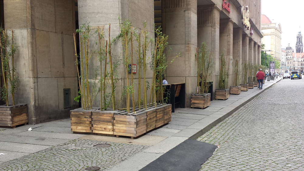 Überall auf der Seestraße ranken Grünpflanzen ©MeiDresden.de