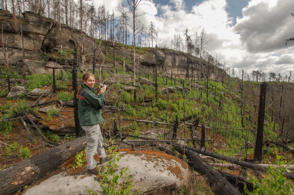Foto: © Hartmut Landgraf 