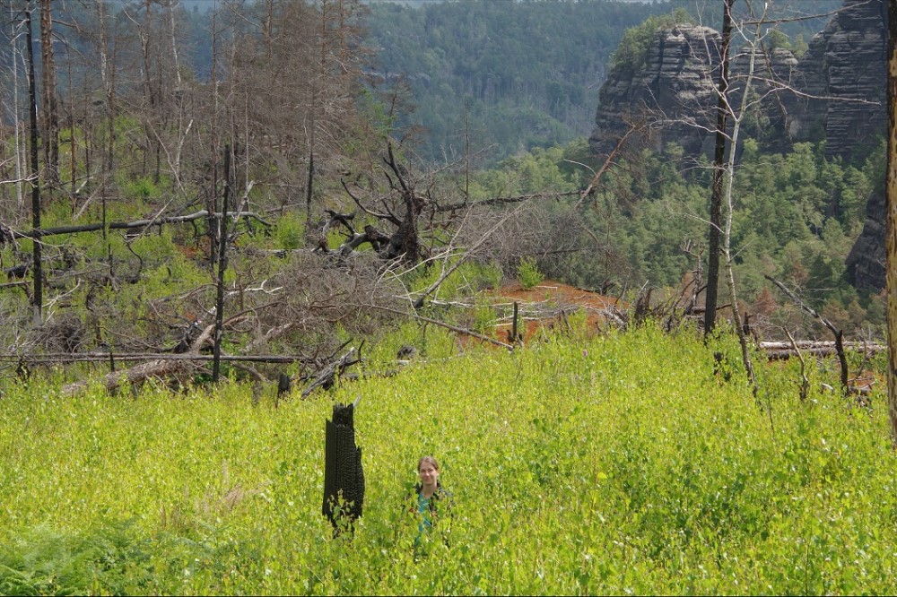 Foto: © Hartmut Landgraf 